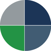 social media pie chart